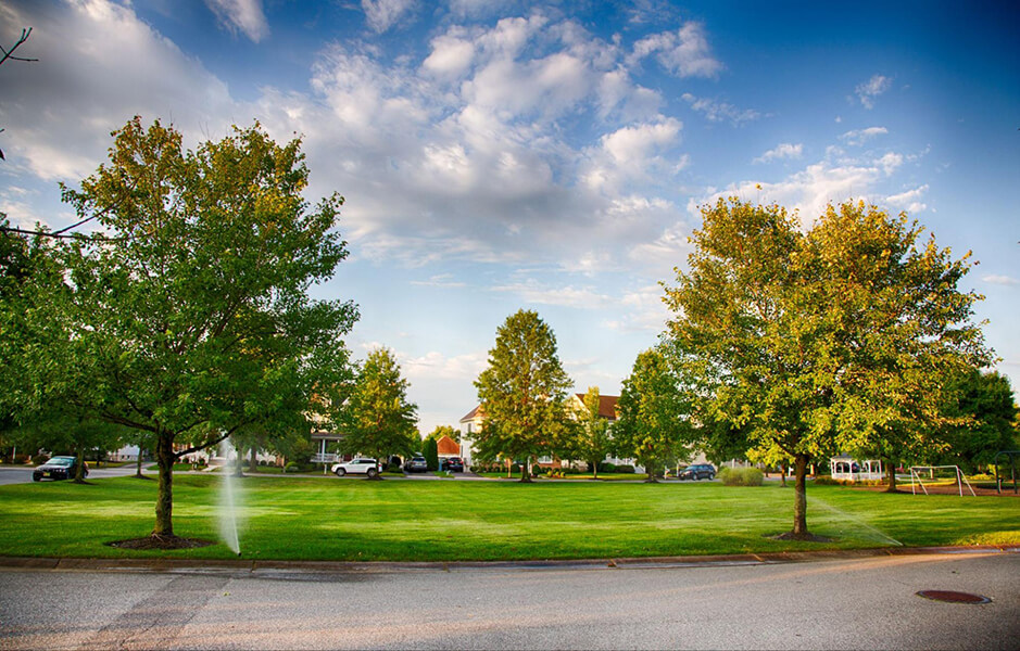 Discovering Green Spaces: A Guide to the Best Local Parks Near Trone Rental Properties