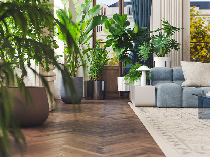 Bring Your Apartment to Life: The Surprising Benefits of Houseplants for Renters