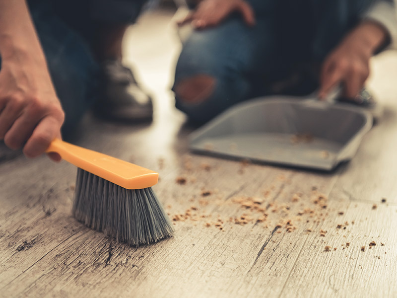 Spring Pest Prevention: How to Keep Pests Out of Your Rental Home